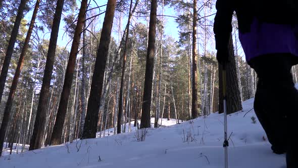 Winter trekking in the forest; man walking on snowdrifts