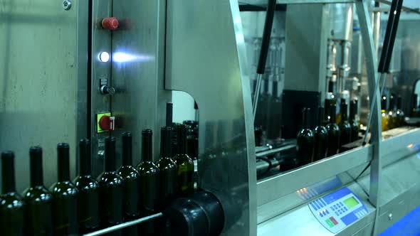 Conveyor with Wine Bottles at Wine Factory White Wine Production Bottle Washing and Filling alt
