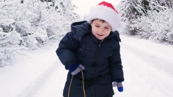A Boy in Winter Clothes and a Santa Claus Hat Rolls a Sled on the Way alt