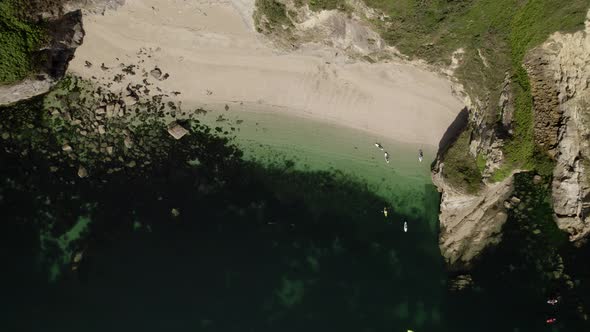 Sandy Beach Cove Cornwall South Coast Paddle Boarders, SUP, And Seals Aerial Overhead