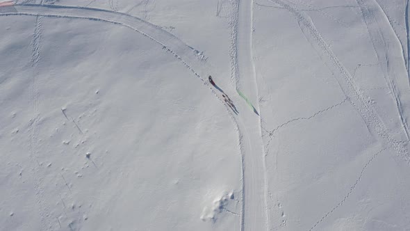 Aerial view of sled dogs in race alt