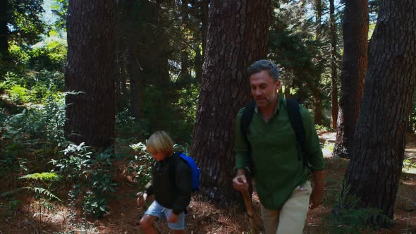 Father and son hiking with wooden stick in the forest alt