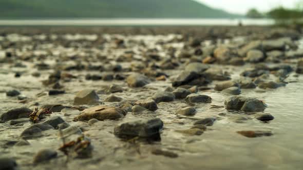 Panning Along a Shallow Riverbed