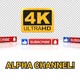 Youtube Subscribe 3D - VideoHive Item for Sale