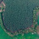 Pinewood drone aerial view - VideoHive Item for Sale