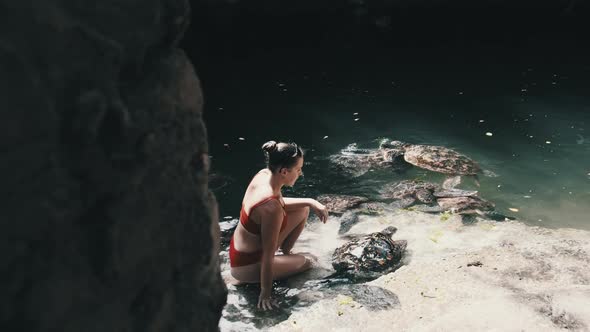 Woman Feeding Algae to Giant Sea Tortoises at Baraka Natural Aquarium Zanzibar alt