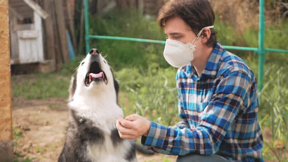 Man in Protective Mask Combs Dog's Hair Spring Molting Allergies to Wool and Dust