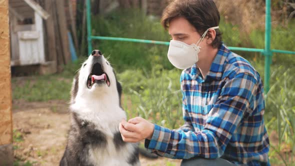 Man in Protective Mask Combs Dog's Hair Spring Molting Allergies to Wool and Dust alt