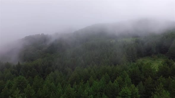 Mountain Landscape. Nature. Fog Clouds