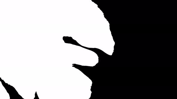 Bloom Ink. Beautiful White Watercolor Ink Drops Transition on Black Background. Move From Left To alt