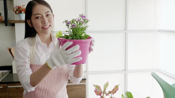 Young woman planting in the flower pots on a counter at home. alt