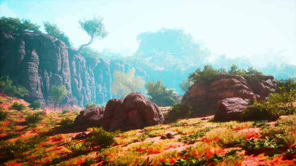 Red Rock Canyon National Conservation Area in Nevada alt