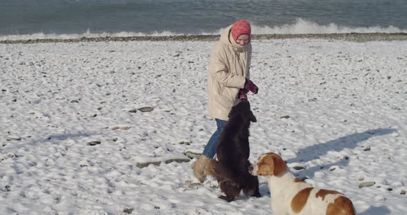 Happy Young Female Playing with Dog on Winter Beach