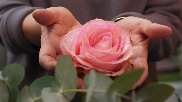 Closeup View of Woman Showing Pink Rose Head alt