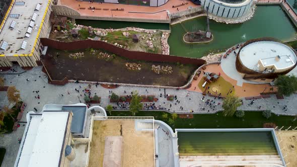 Autumn Kharkiv city zoo lake greenery aerial view