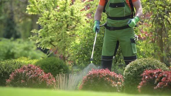 Pesticide Garden Plants Spraying with Professional Equipment alt