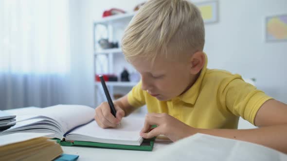 Smart Male Child Doing Homework, Writing in Notebook, Education and Knowledge