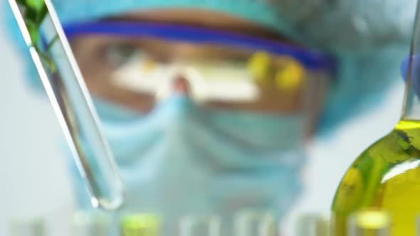 Scientist Comparing Plant Samples in Flask and Test Tube, Breeding New Sorts alt