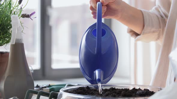Woman Planting Pot Flowers at Home alt
