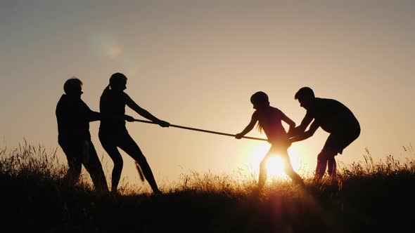 Family Having Fun in Nature - Playing Tug of War alt