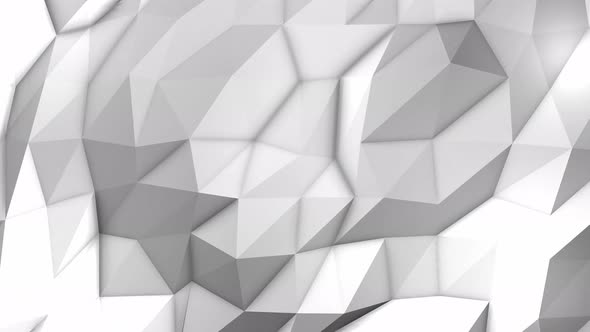 White Polygon Background Loop