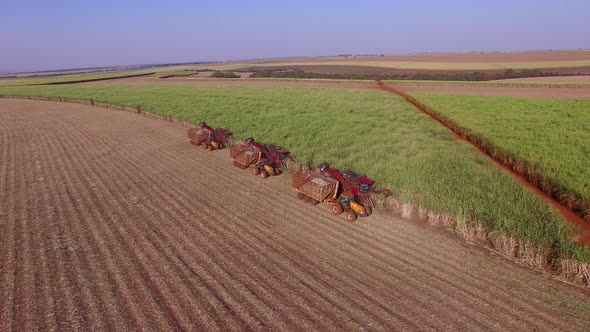 Sugar cane hasvest plantation with three machines view aerial alt