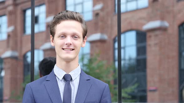 Smiling Successful Businessman Portrait alt