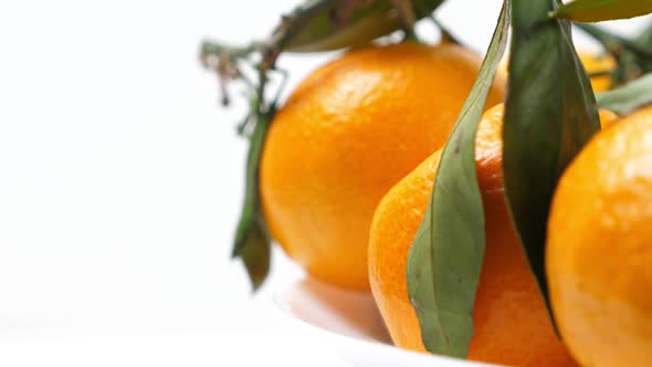 A Lot of Tangerines with Green Leaves alt