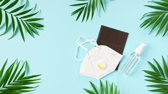 Model Airplane Passport Protective Equipment for Prevention of Virus Infection Medical Masks Hand alt