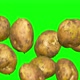 Unwashed Potatoes In A Jump On Chroma Key - VideoHive Item for Sale