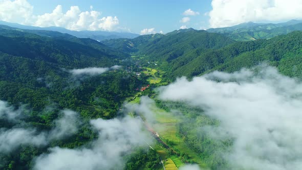 Aerial view drone flying over fog with Nature in morning Agriculture and farmer Rice fields Top Down alt