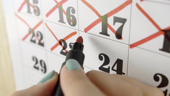 Female Hand Crosses with Red Marker the Calendar Day 24. Slow Motion Shot. Close Up