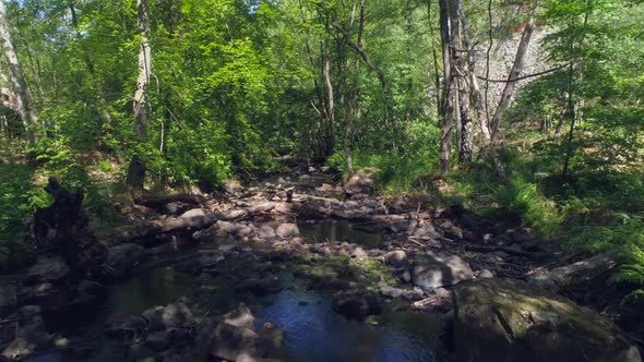 Flying Over Water Stream in Forest