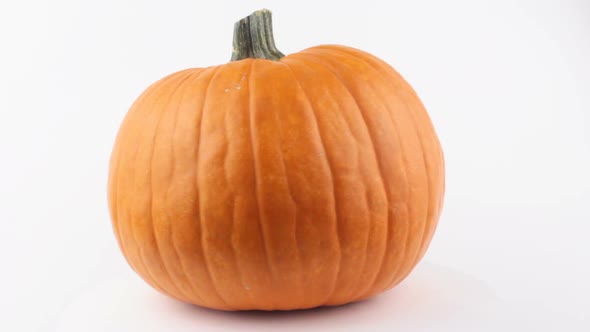 Halloween Pumpkin Rotates on a White Background