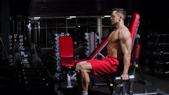 Pumped Man Sits on a Gym Simulator and Lifting Dumbbells alt