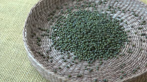 Fresh mungo beans. Green beans in basket (Vigna radiata)