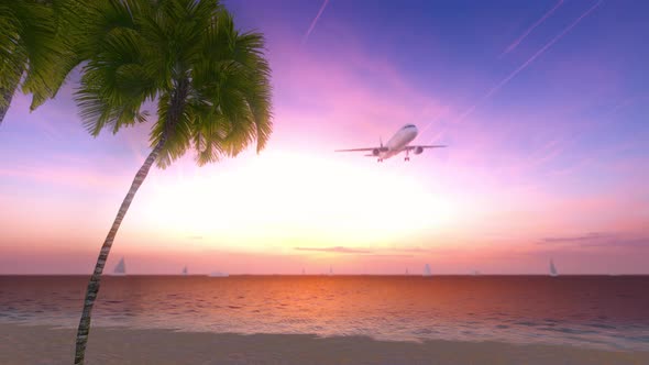 Airplane Flying Over Tropical Palm Tree And Sunset Sky