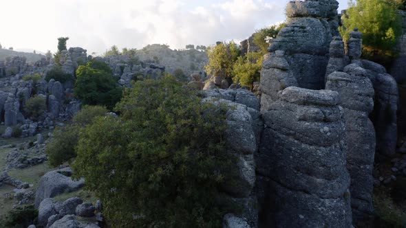 Beautiful Nature Landscape with Rock Formations and Evergreen Trees alt