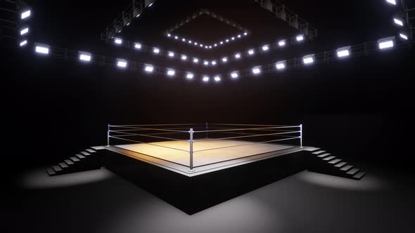 Sports Wrestling And Boxing. Sport 4K Professional Background Animation by  MUS_GRAPHIC_