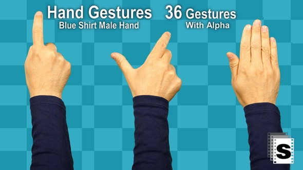 Hand Gestures Male Blue Shirt