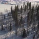 Aerial View of Winter Forest Nature Snow Covered Trees - VideoHive Item for Sale