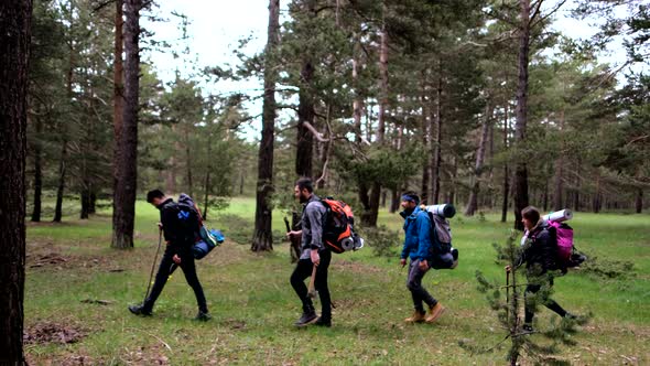 Group Of Hikers Walking alt