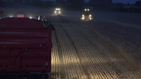 Truck Stand on Stubble and Harvester Machine with Lights Cultivate Cereal Corns Field at Night