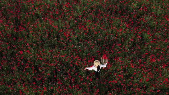 a Girl in a Dress with a Hat and with a Basket in a Field with Poppies