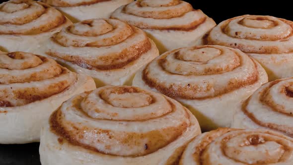 Timelapse  Twelve Cinnamon Buns Baking and Rising in Oven at Home  Zoom Out