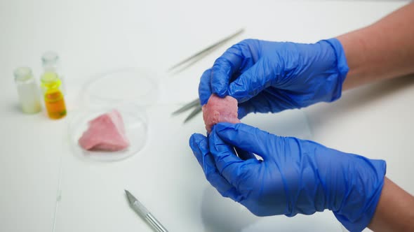 Medical Scientist Specialist in Medical Uniform Examining a Piece of Meat Food Research in alt