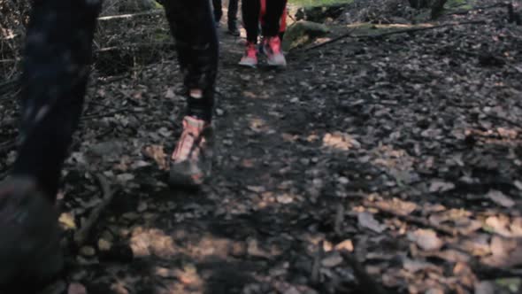 Camera facing the steps of people walking of the trail (footage of feet) alt