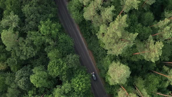 Cars Driving Through The Forest Road. Drone Aerial