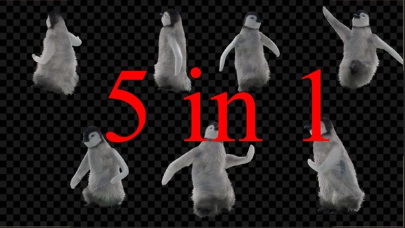 Penguin Dancing 5 Pack alt