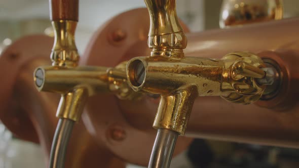 Tilt down on barman pulling a pint of foamy beer on a vintage brass and golden beer tap alt